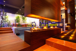 Электрокамин Dimplex Cassete L